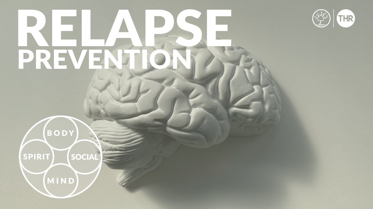 Stages of Relapse: Prevention Strategies Tree House Recovery PDX